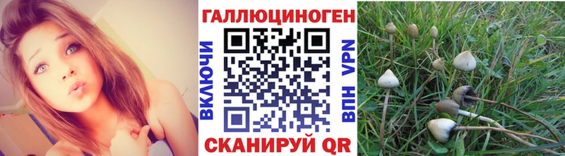 Галлюциногенные грибы Psilocybine cubensis  Реж 